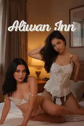 铁皮风筝高清电影